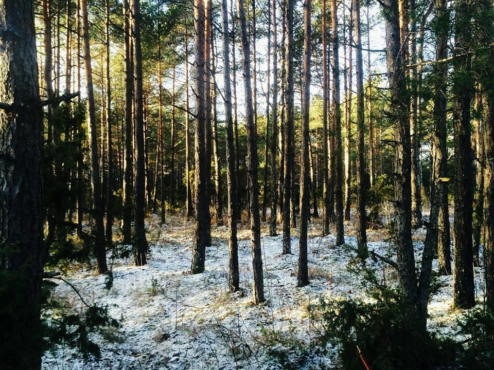 Kuivastujaani Ξενοδοχείο Εξωτερικό φωτογραφία